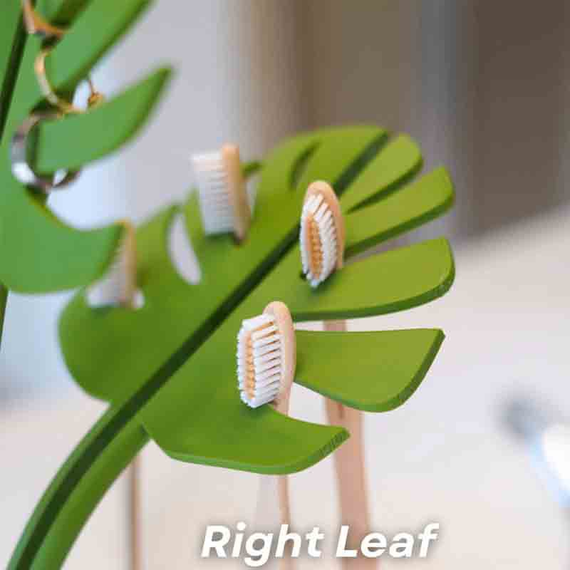 Cross-border New Mirror Monstera-Bathroom Organizer Mirror Turtle Bamboo Toothbrush Holder