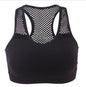 New Seamless Mesh Sports Underwear Women No Steel Ring Wrapped Chest Sports Yoga Ladies Small Vest Wholesale
