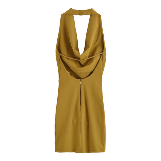 Women's Pleated Hanging Collar Dress
